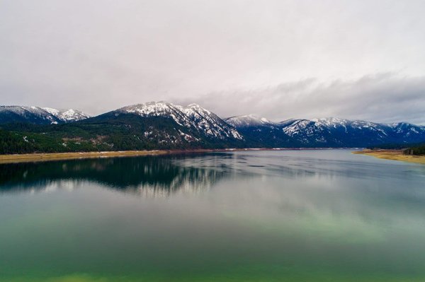 Intelligence émotionnelle au travail : Clé du succès professionnel